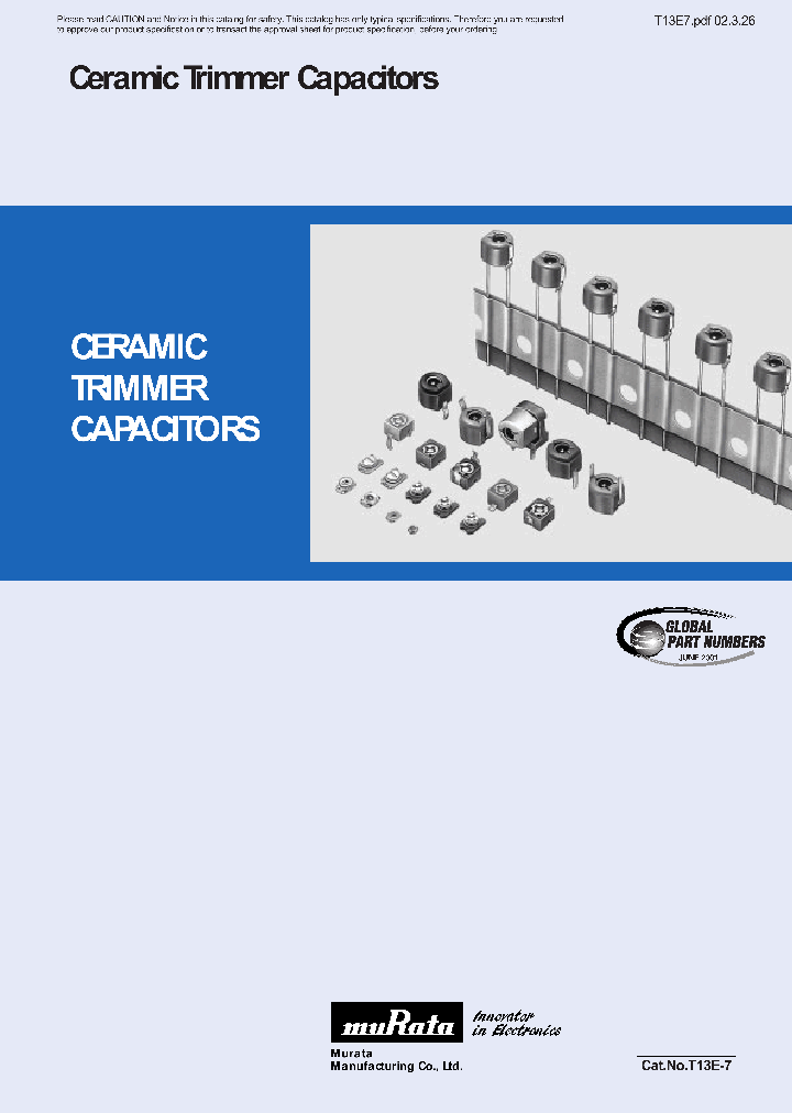 TZB4T200A001A00_7290996.PDF Datasheet