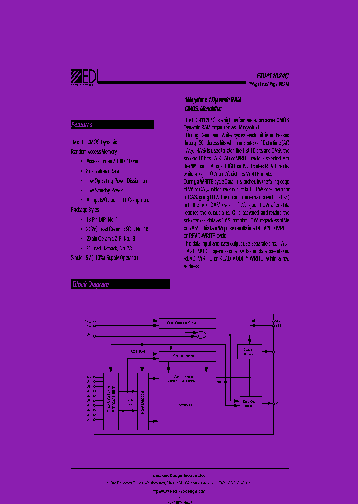 DM411024C80NM_7568259.PDF Datasheet