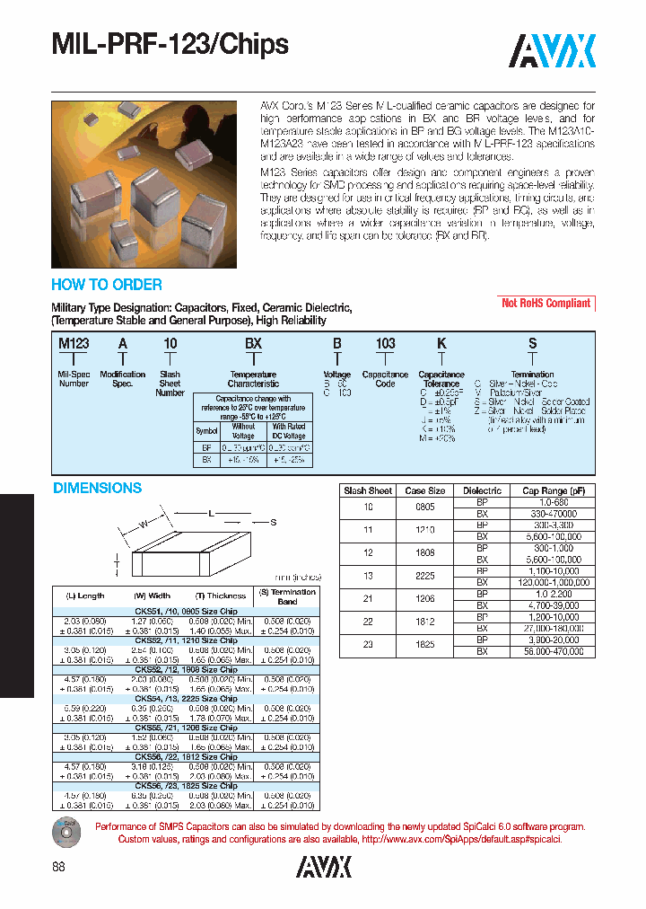 M123A10BP100_7753917.PDF Datasheet