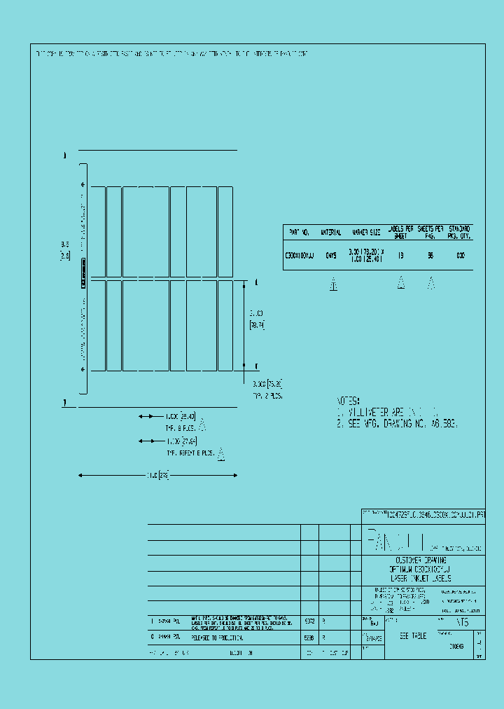 C300X100YJJ_8002515.PDF Datasheet