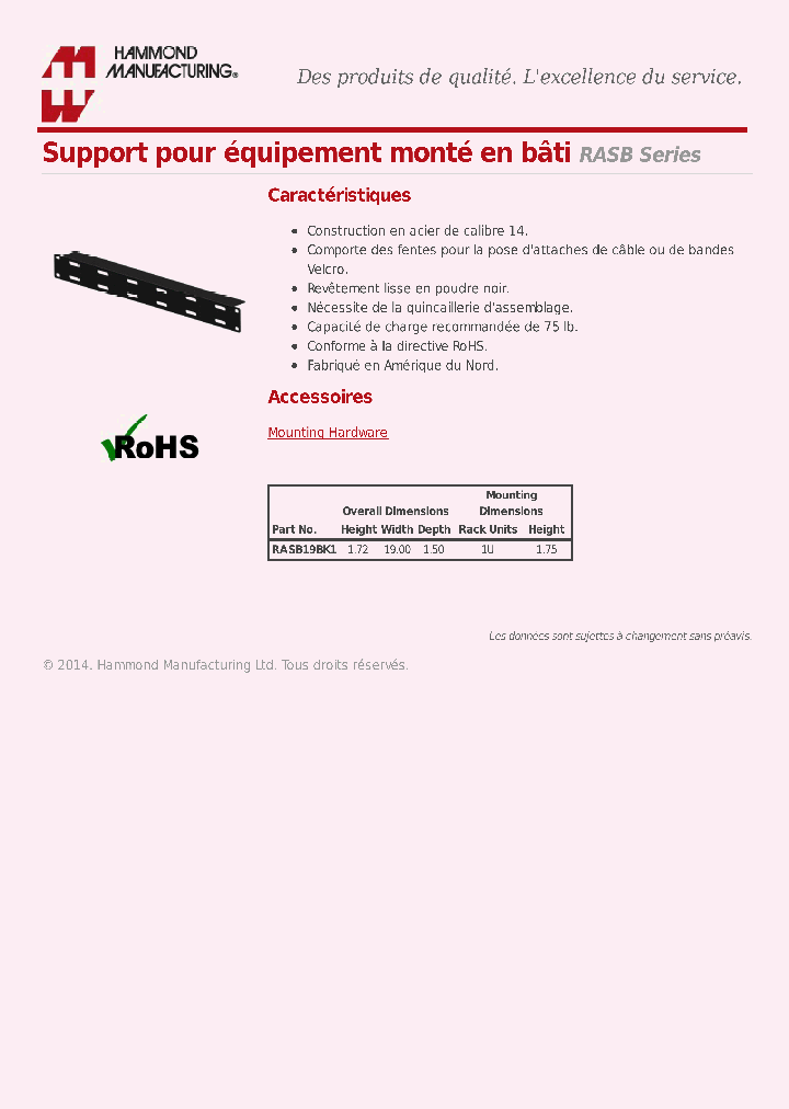 RASB_8019890.PDF Datasheet