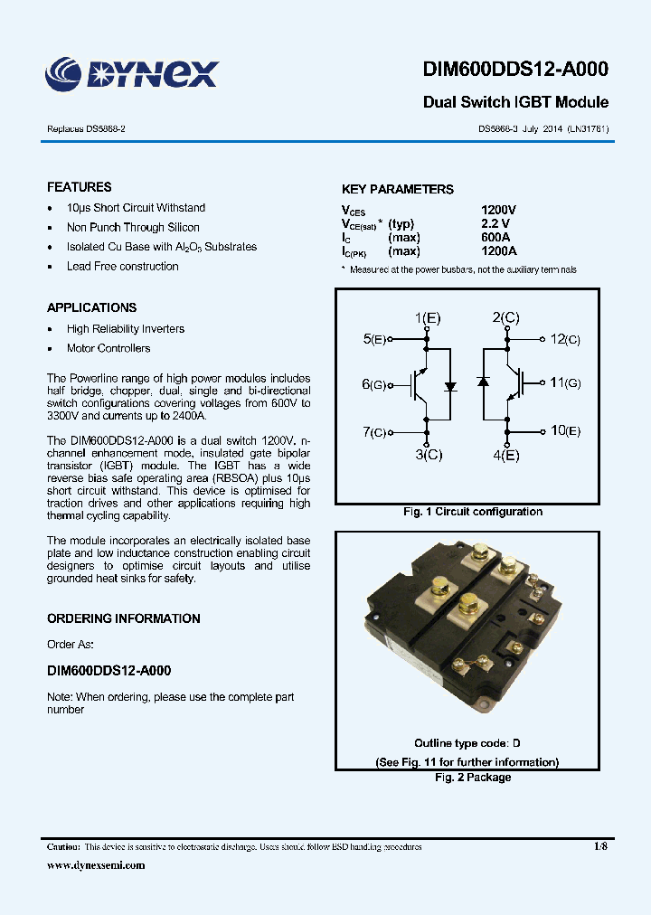 DIM600DDS12-A000-15_8195680.PDF Datasheet