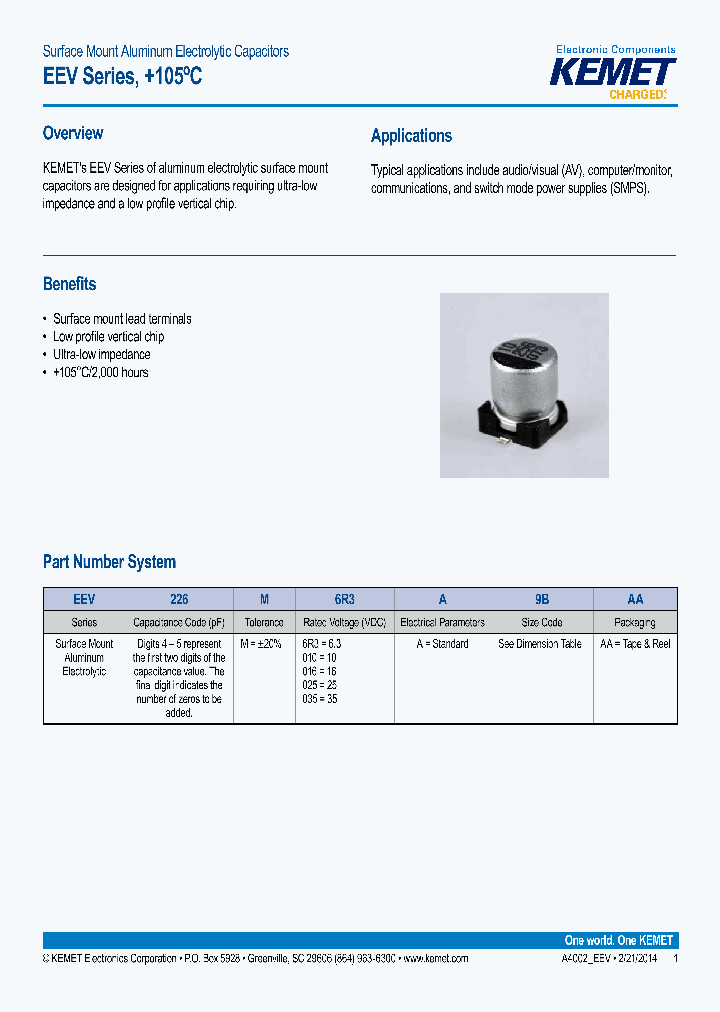EEV687M6R3A9MAA_8216961.PDF Datasheet