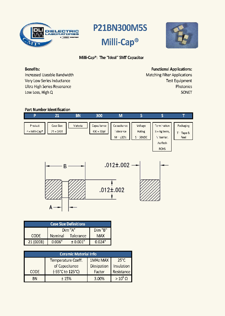 P21BN300M5SS_8262316.PDF Datasheet
