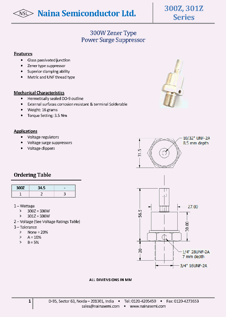 300Z100_8434673.PDF Datasheet