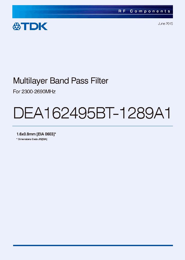DEA162495BT-1289A1_8646076.PDF Datasheet