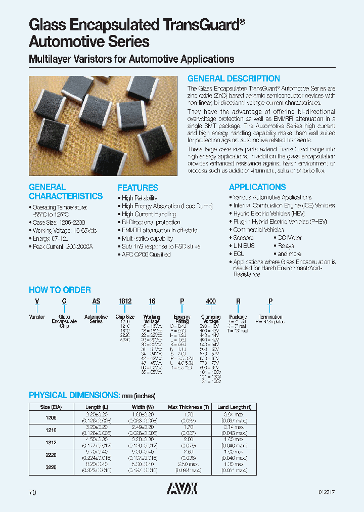 VGAS120660Y560DP_8722094.PDF Datasheet