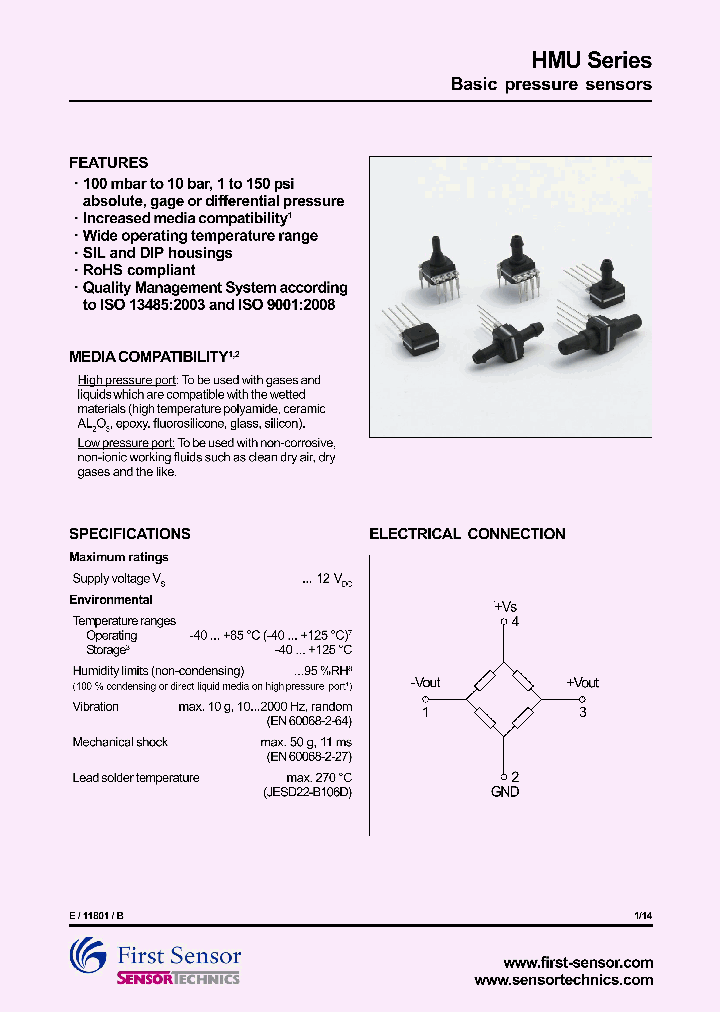 HMUM100DU1P_8831008.PDF Datasheet