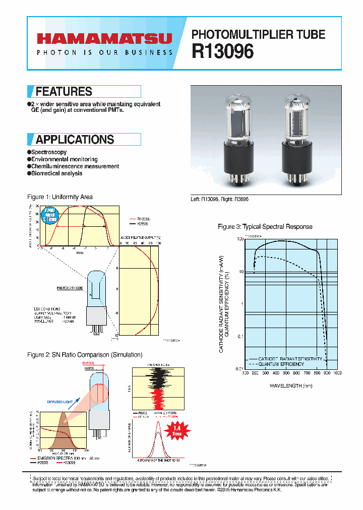 R13096_8983820.PDF Datasheet