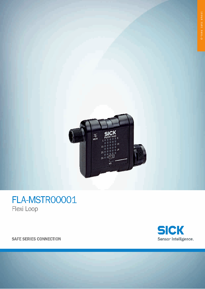 FLA-MSTR00001_9026638.PDF Datasheet