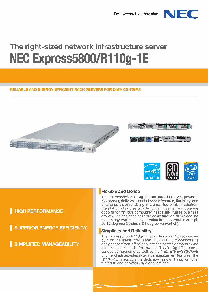 R110G-1E_9059218.PDF Datasheet